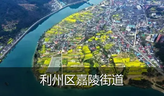 利州区嘉陵街道