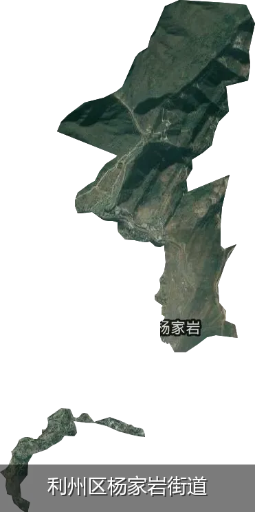利州区杨家岩街道