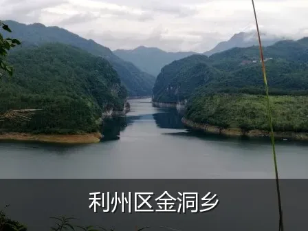 利州区金洞乡