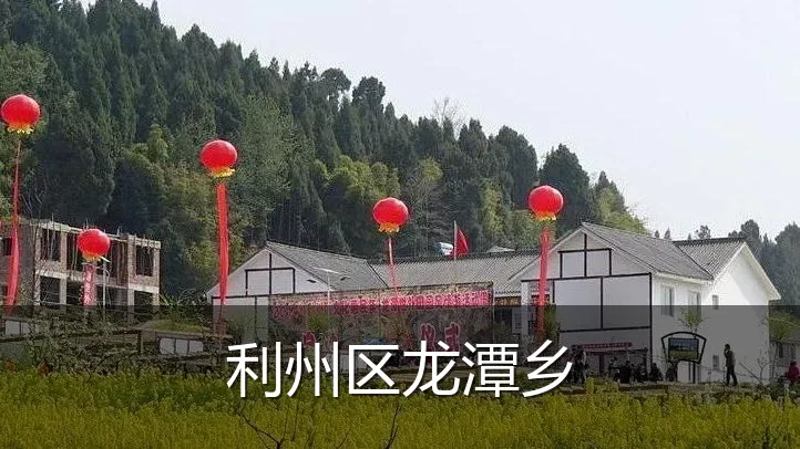 利州区龙潭乡